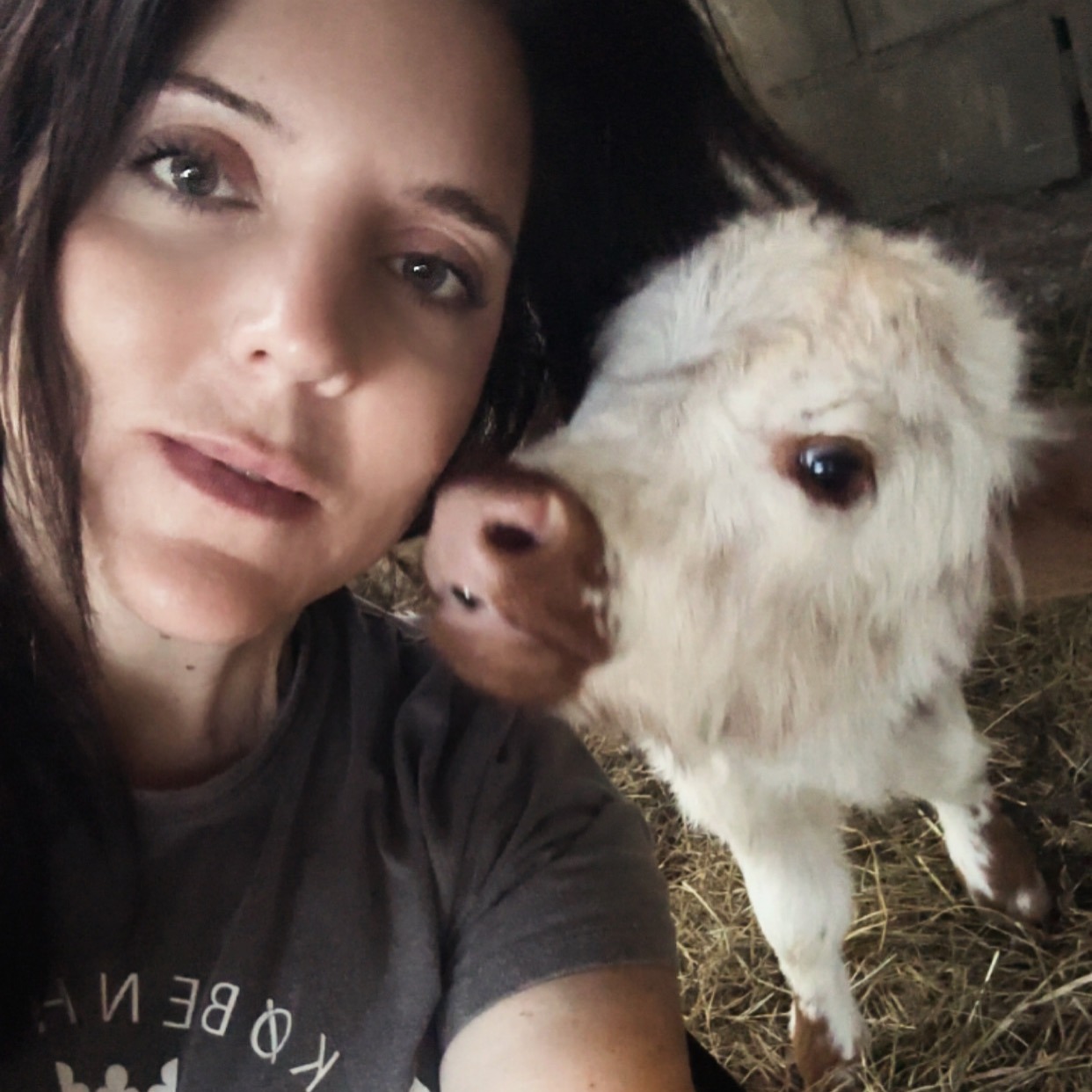 Lindsey Daugherty profile picture