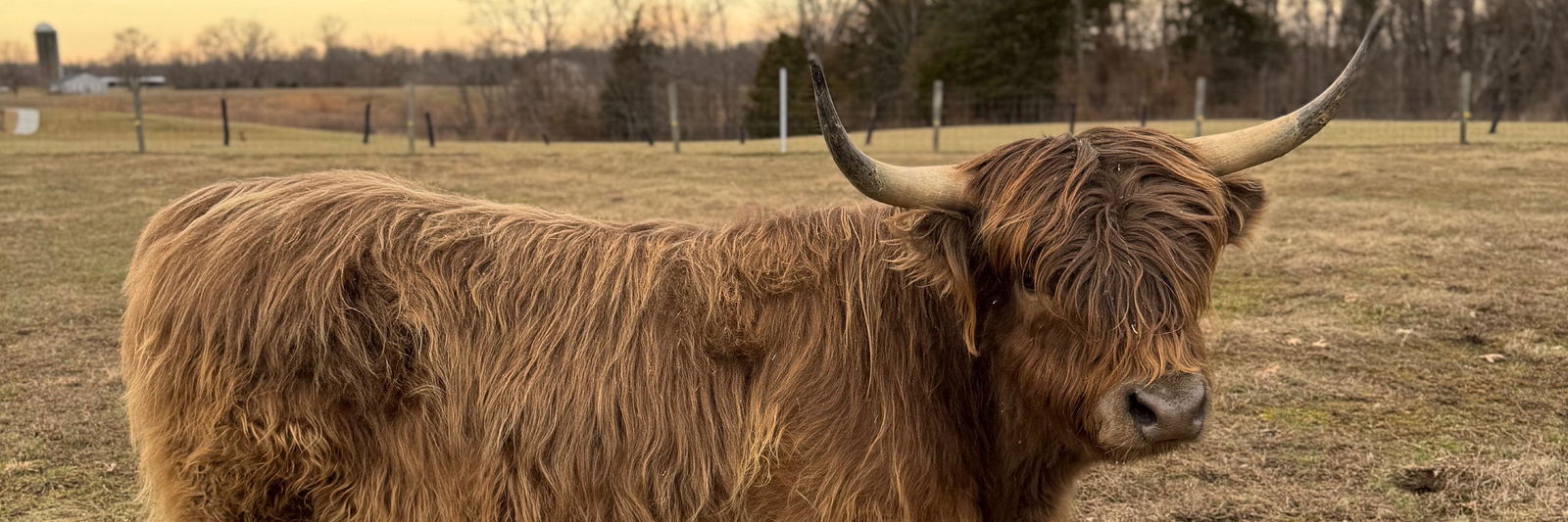 Dunkin’ profile cover image