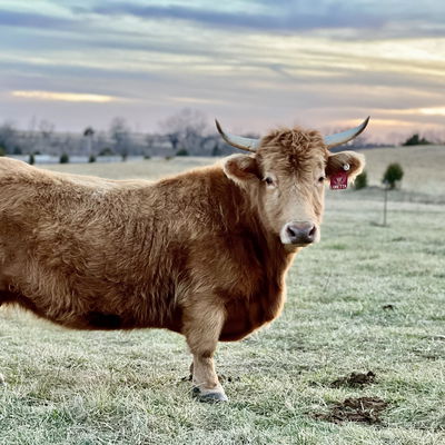 Loretta profile picture