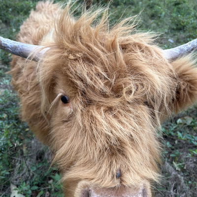 Jeffrey Brown profile picture