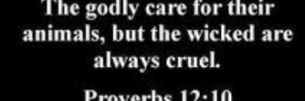 Elijah Inofuentes profile cover image