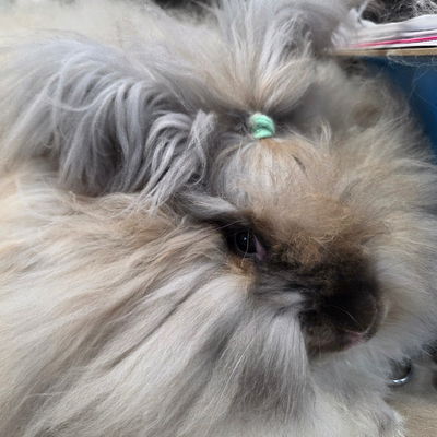 Tammy Vaughn profile picture