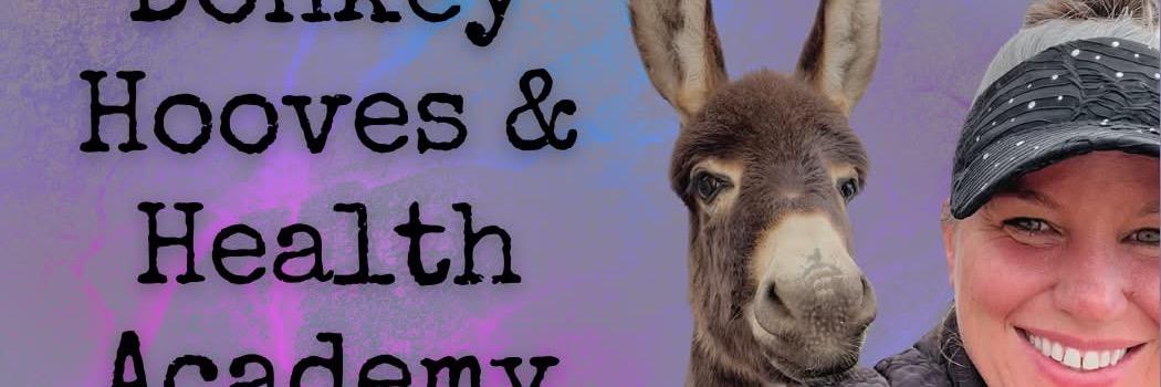 Megan Hensley profile cover image