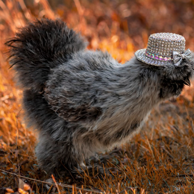 Henrietta profile picture