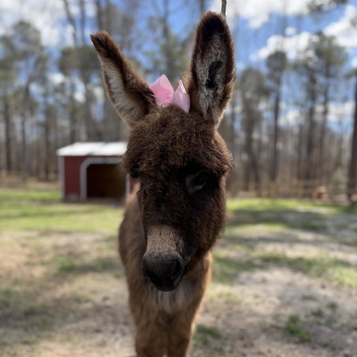 Annie profile picture