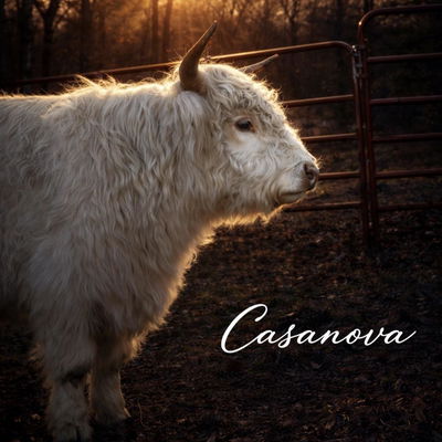 SDF and FCF Casanova profile picture