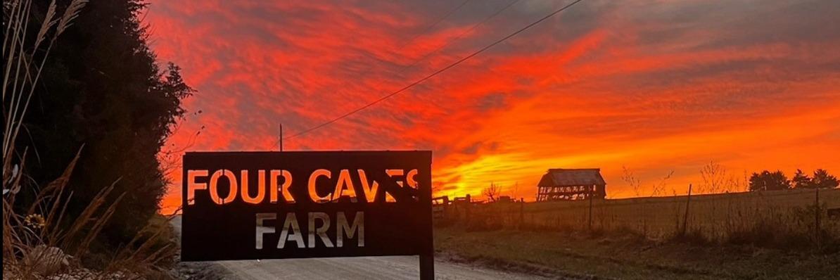 Leah Cave profile cover image