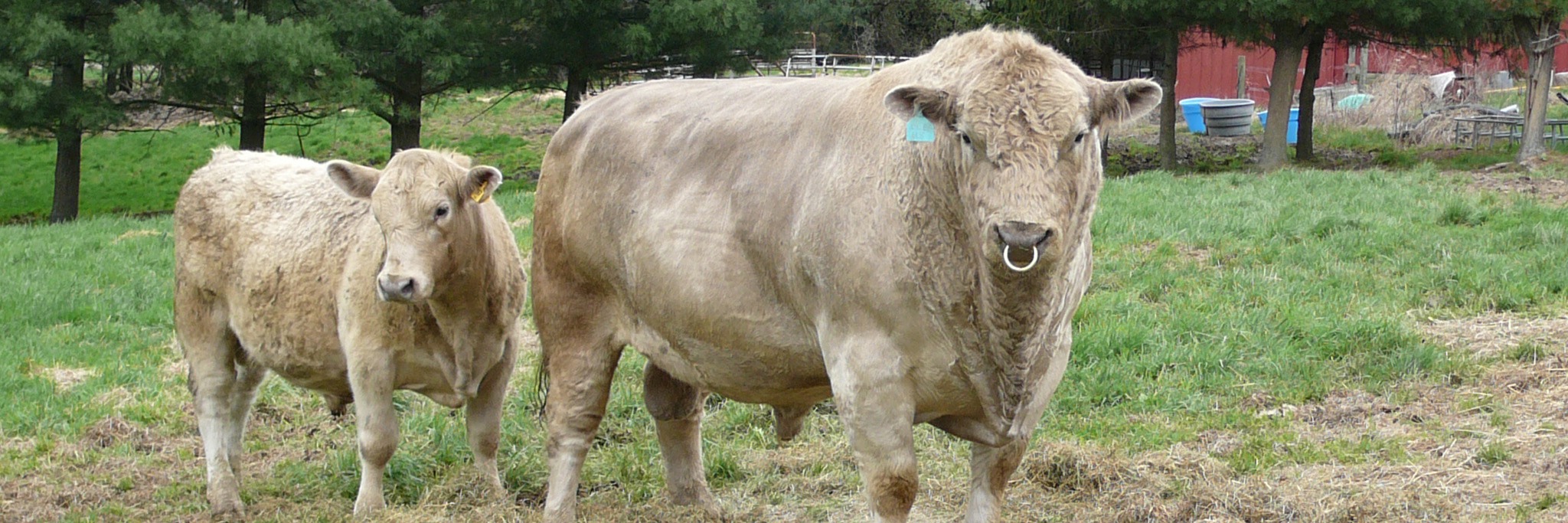 Spectrum Farm profile cover image