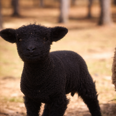 Emma profile picture