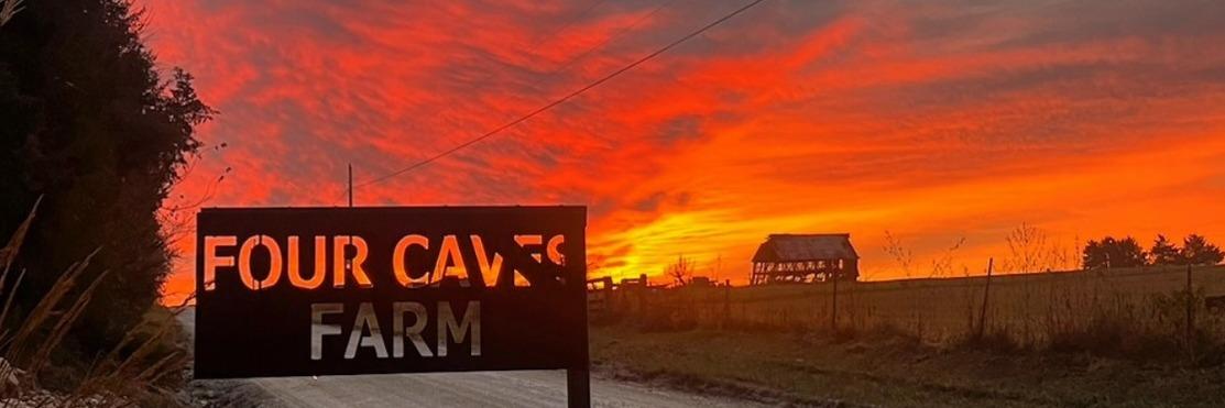 Delores O profile cover image