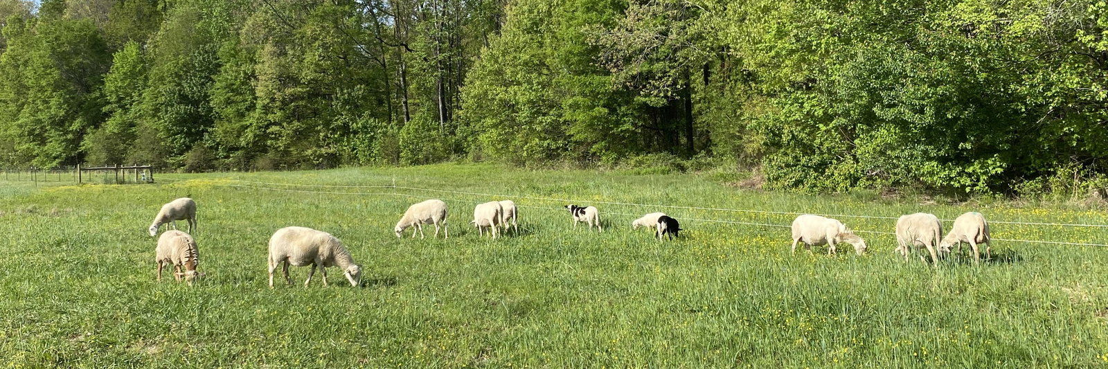 Ferricher Family Farm profile cover image