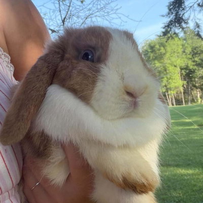 Cinna Bon Bon profile picture