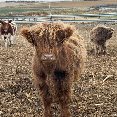 2509 profile picture