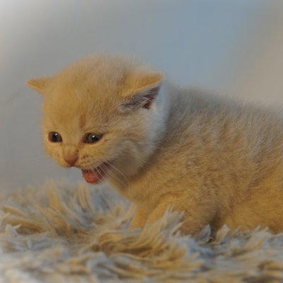 Winnie profile picture