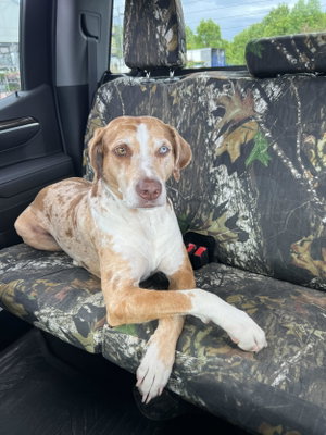 Tucker profile picture