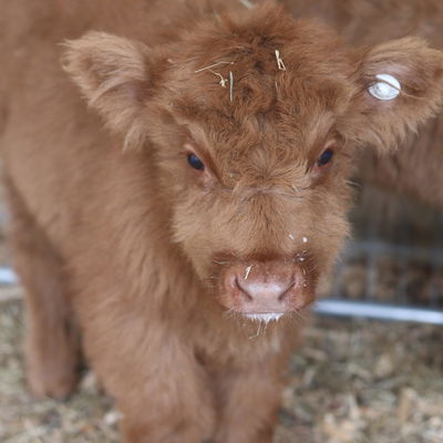 JoeJoe profile picture