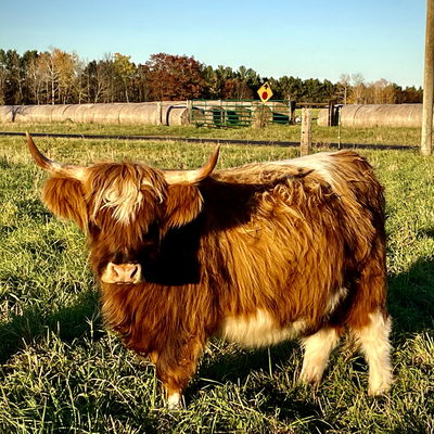 Esther profile picture