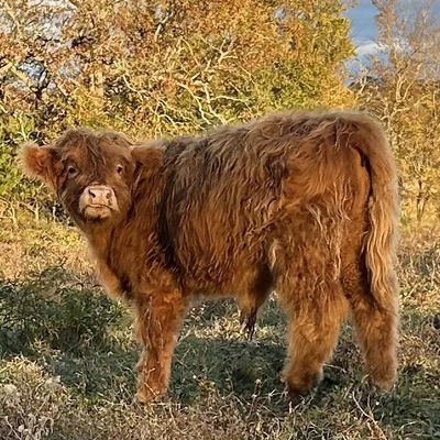 Sherman Potter profile picture