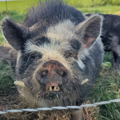 George profile picture