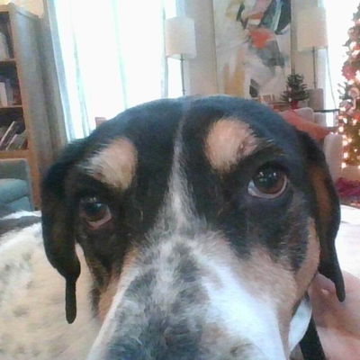 Boney Bennett Inofuentes profile picture