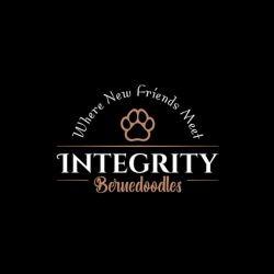 Integrity Bernedoodles profile picture