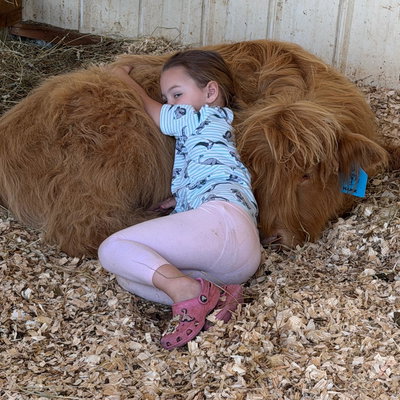 Hank profile picture