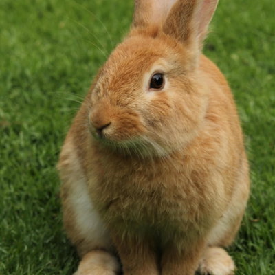 Robbie profile picture
