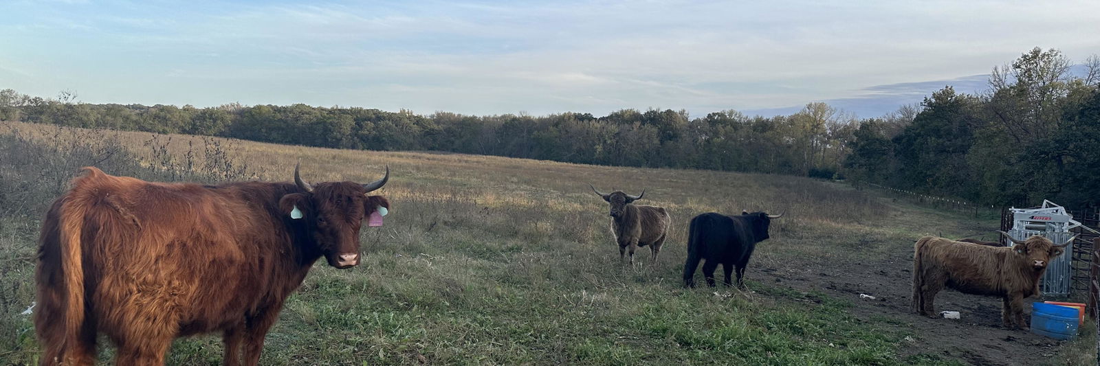 Samantha Garrison profile cover image