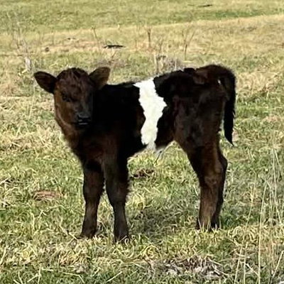 Jackie profile picture