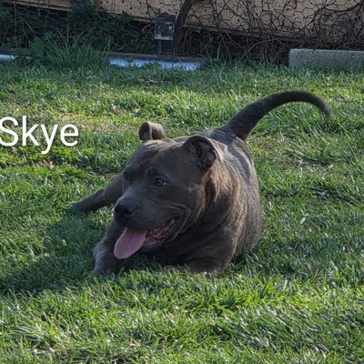 Skye profile picture