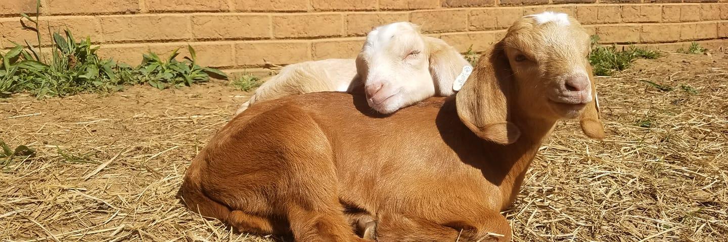 Circle J Farm profile cover image