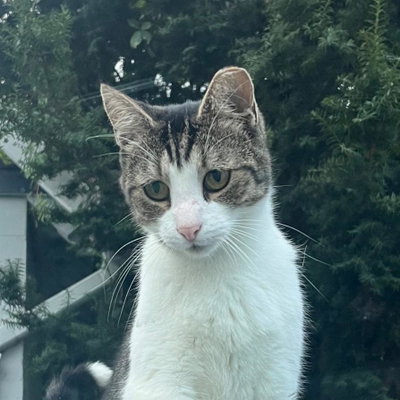 Basil profile picture