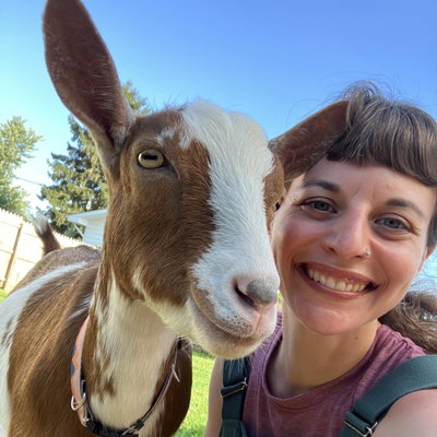 Louie profile picture