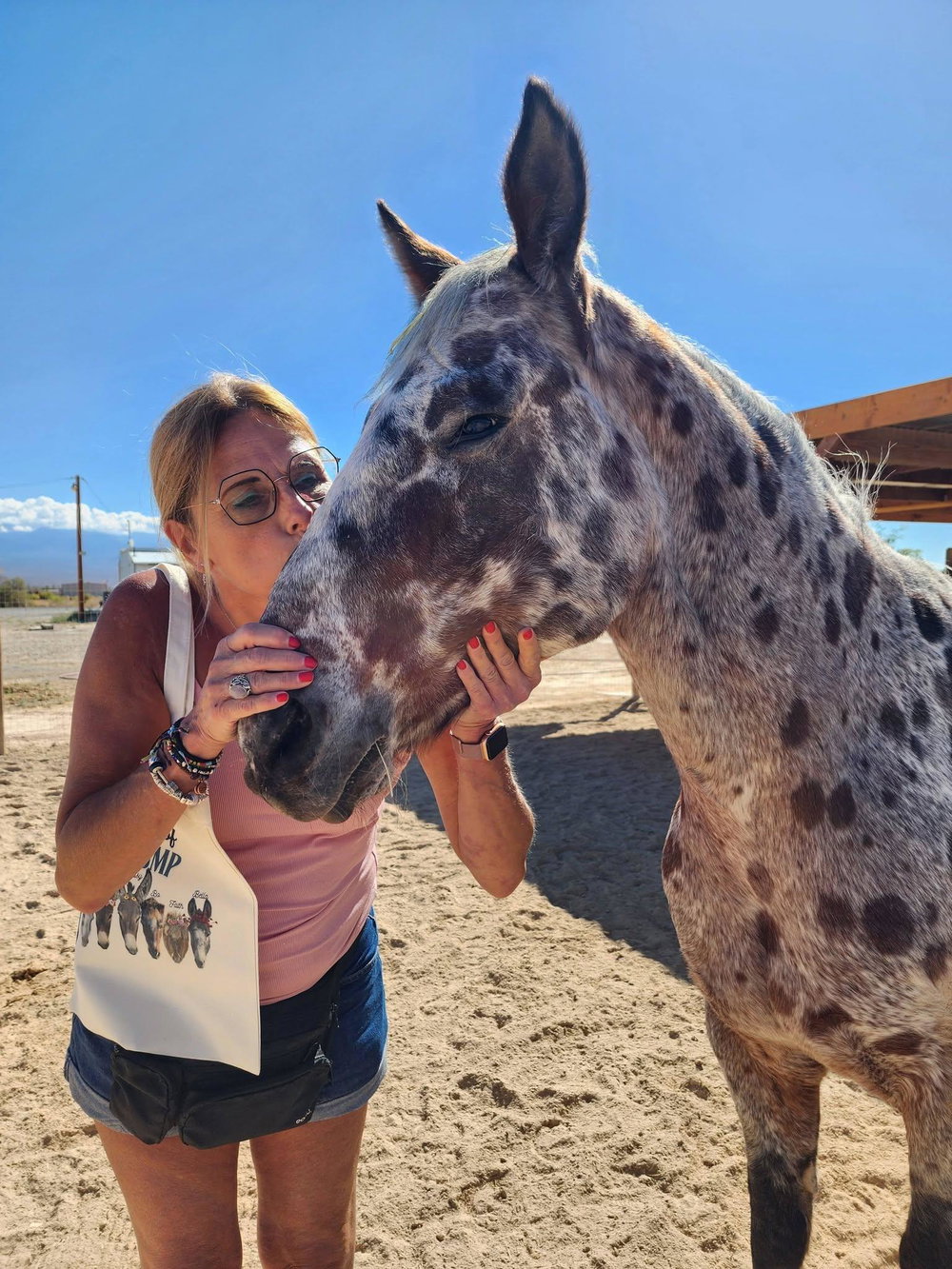 Donkeys of Pahrump Private Tour, photo 2