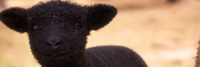 Emma profile cover image