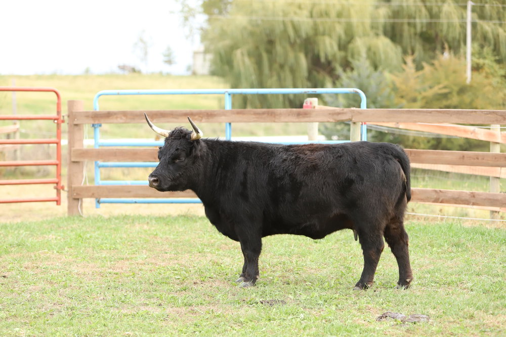 Fiona, photo 5