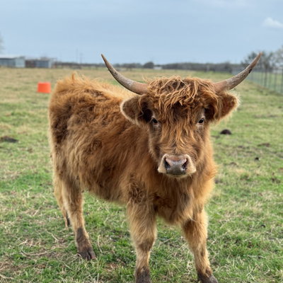 PR Baylor profile picture