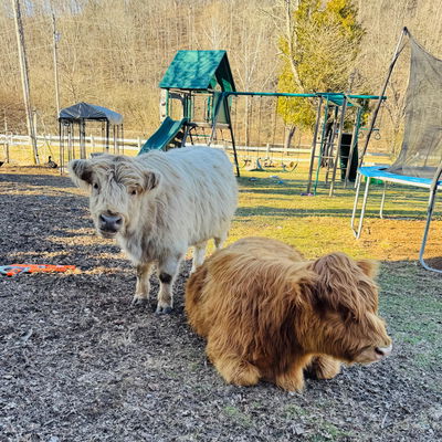 FiveBFarm profile picture