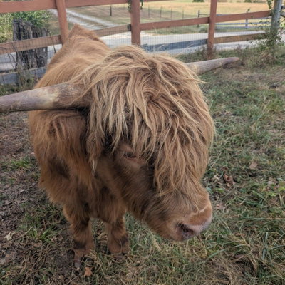 Duncan profile picture