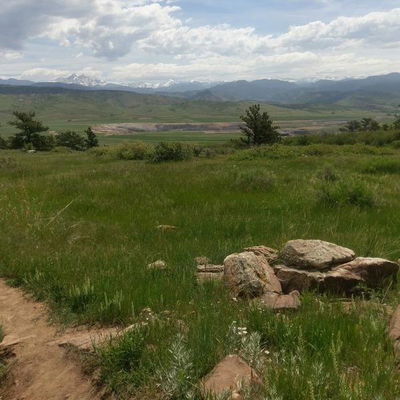 Alexis Summit profile picture