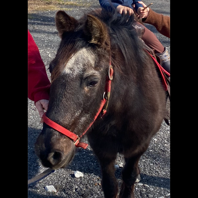 Jack profile picture