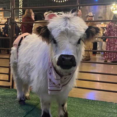 Opal profile picture