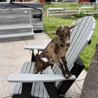 Mini profile picture