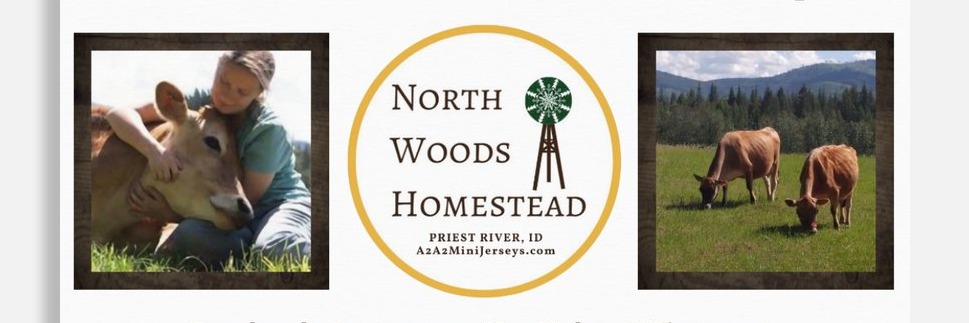 North Woods Homestead, llc profile cover image