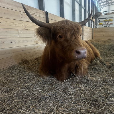 Patsy profile picture