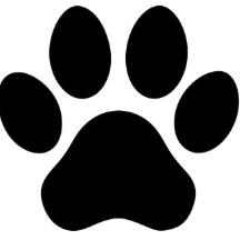 Elijah Inofuentes profile picture