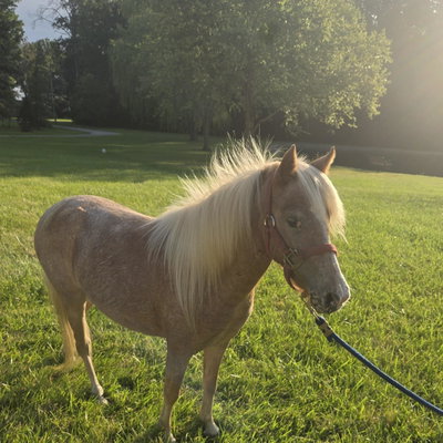 Opal profile picture