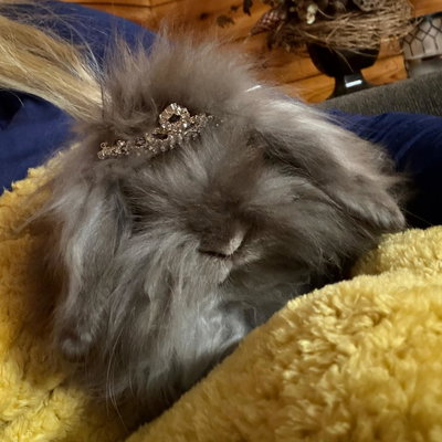 Coco Chanel profile picture