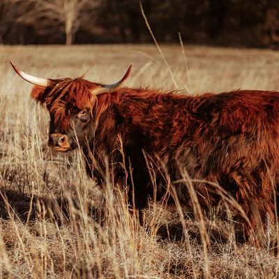 Sunnie profile picture