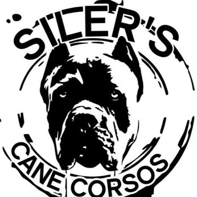 SCC KENNELS profile picture
